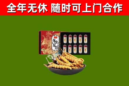 涟源回收冬虫夏草价格
